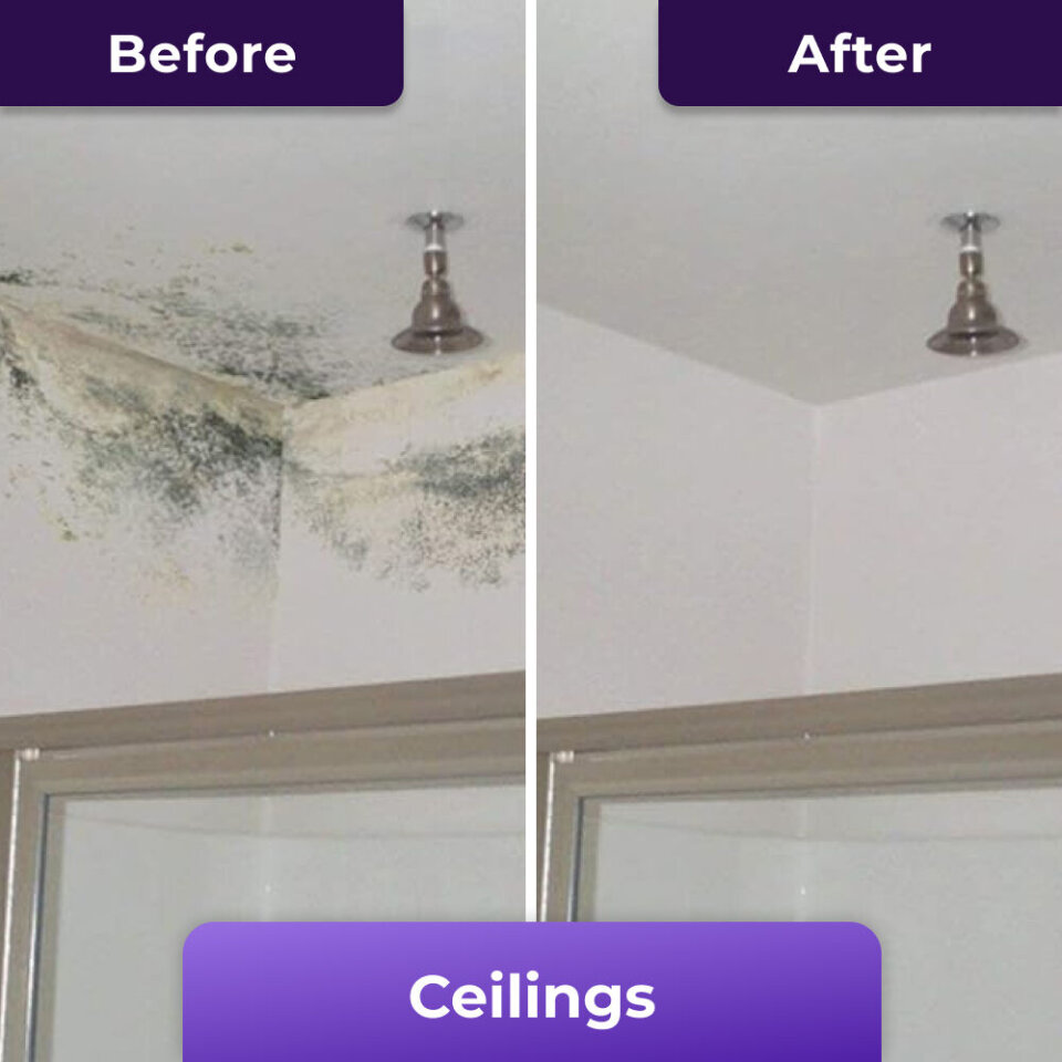 NuroClean image